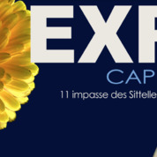 Exposition Cap Sittelle